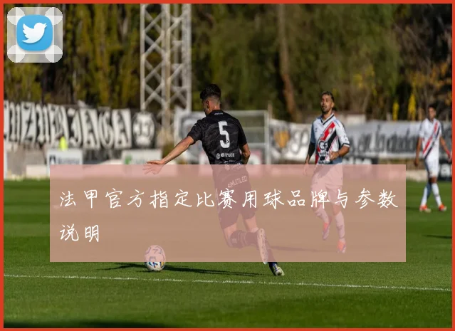 法甲官方指定比赛用球品牌与参数说明