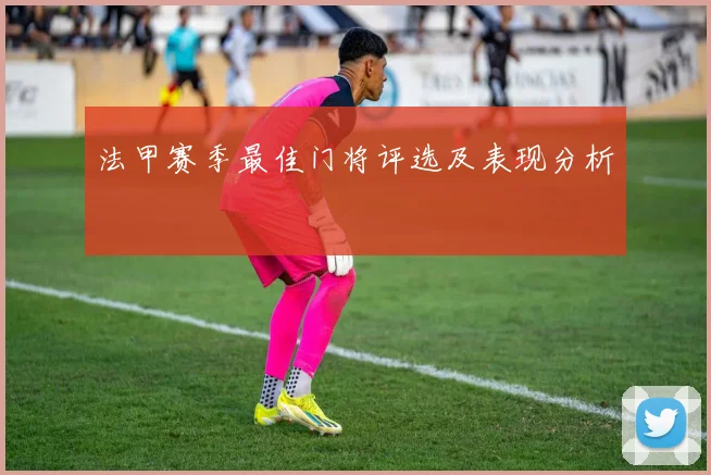 法甲赛季最佳门将评选及表现分析