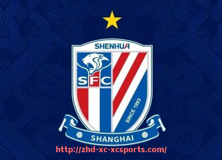 杏彩体育-中国球员在英超的历史与发展现状全览