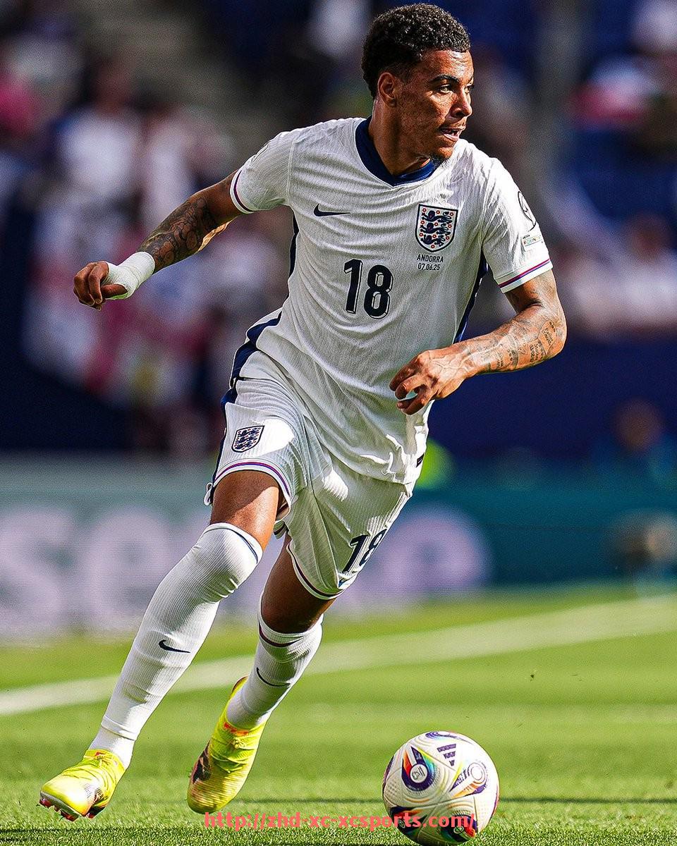 杏彩体育-世俱杯历届重大争议事件合集与媒体反应